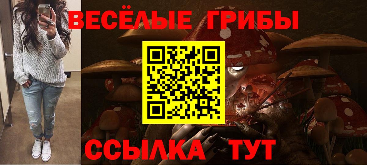 Псилоцибиновые грибы прущие грибы  Псилоцибиновые грибы мухоморы  Новоалтайск  Вход с VPN 